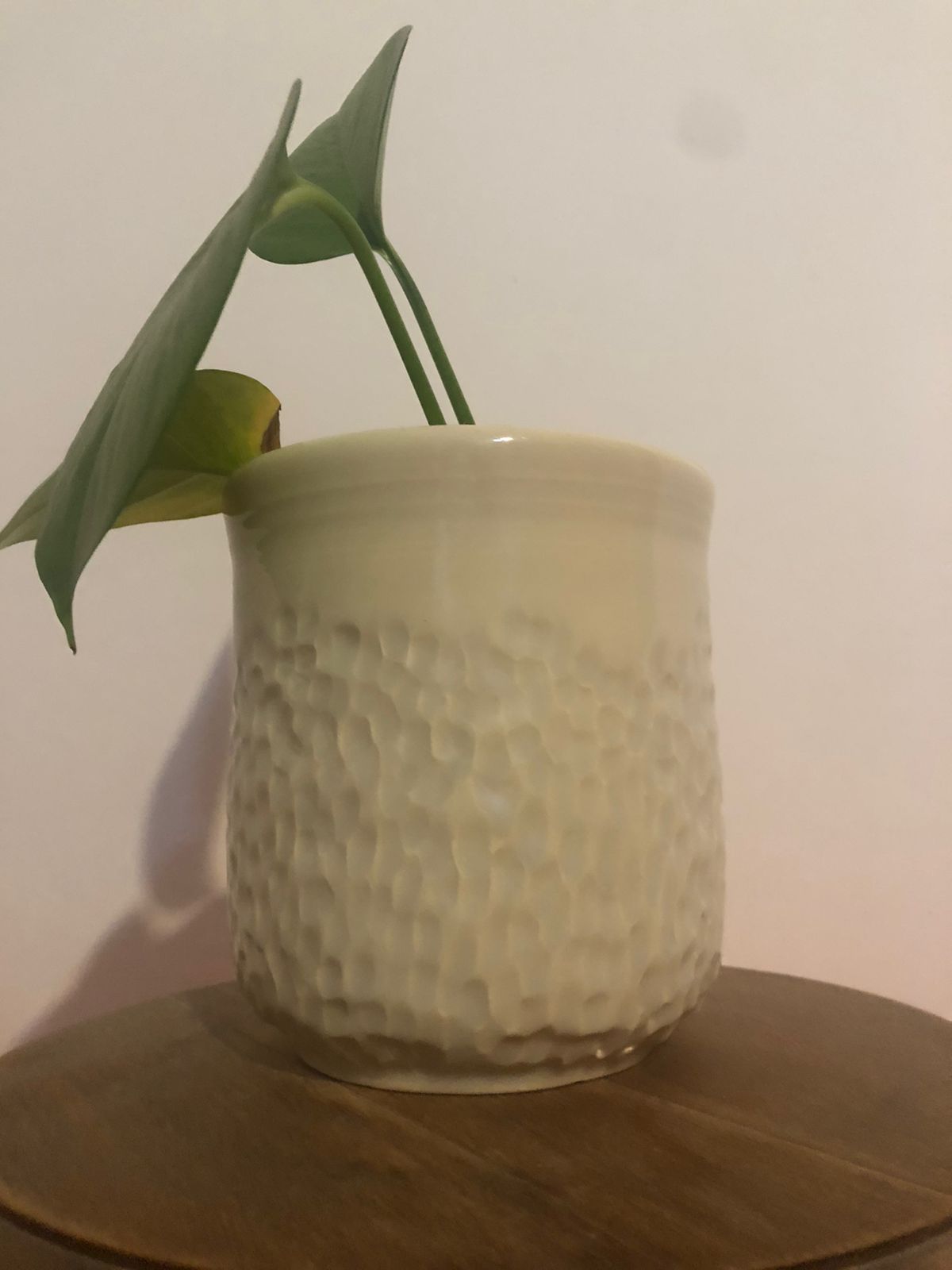 una maceta de ceramica con una planta adentro